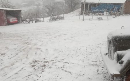 Biləsuvar və Cəlilabadda mövsümün ilk qarı yağır