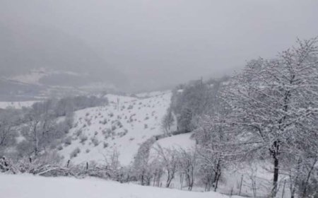 Bu rayonlara qar yağdı – FAKTİKİ HAVA