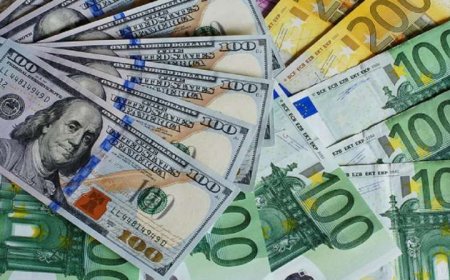 Lirə yenə ucuzlaşdı, rubl isə... - MƏZƏNNƏ