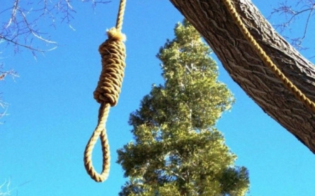 Meşədə gənc oğlanın asılmış meyiti tapıldı