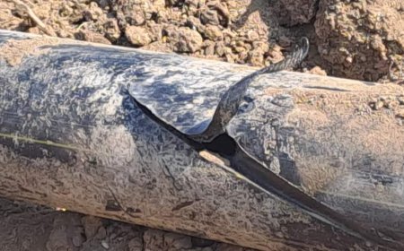 Cəlilabadda "SityNet" 2300 abonenti qazsız qoydu