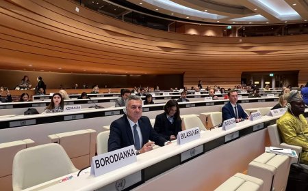 Biləsuvarın icra başçısı BMT-nin Merlərin Forumu - Gələcəyin Şəhərlər Sammitində iştirak edib