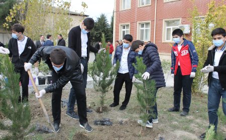 “Yaşıl dünya naminə” layihəsi çərçivəsində Salyanda ekoloji aksiyalar baş tutub