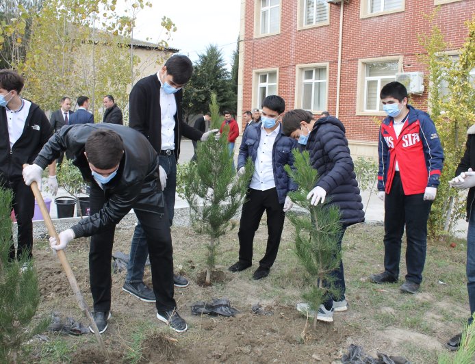 “Yaşıl dünya naminə” layihəsi çərçivəsində Salyanda ekoloji aksiyalar baş tutub