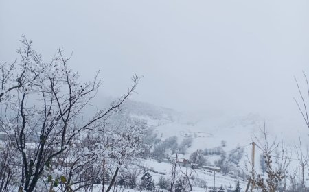 Cəlilabada ilk qar yağır - FOTO