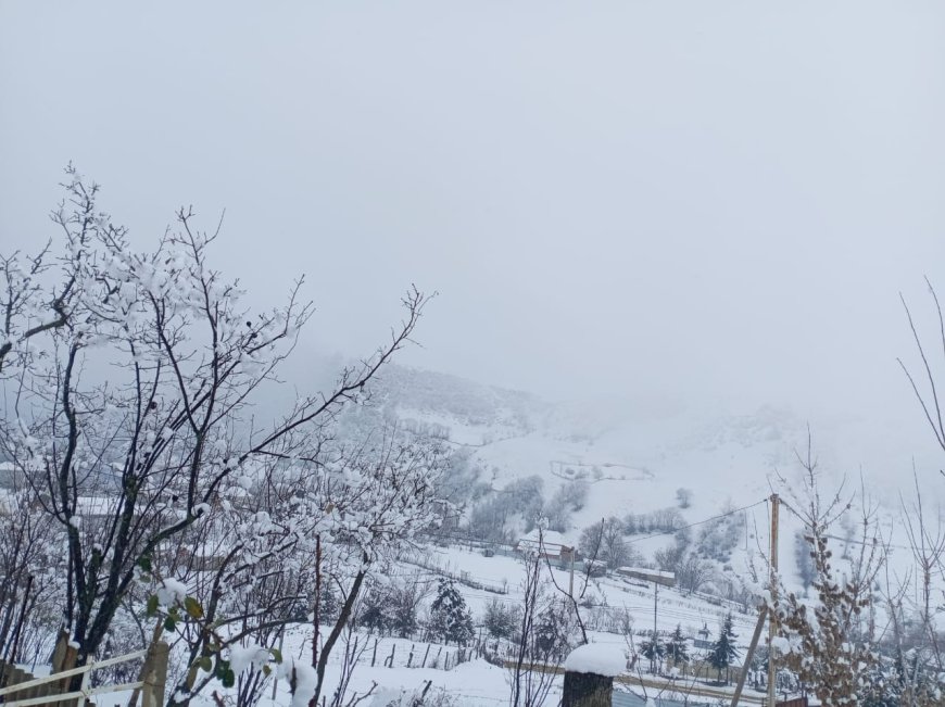 Cəlilabada ilk qar yağır - FOTO