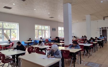 “Riyaziyyat Dahiləri – istedadlı şagirdlər üçün olimpiada hazırlığı” qrant layihəsi davam edir